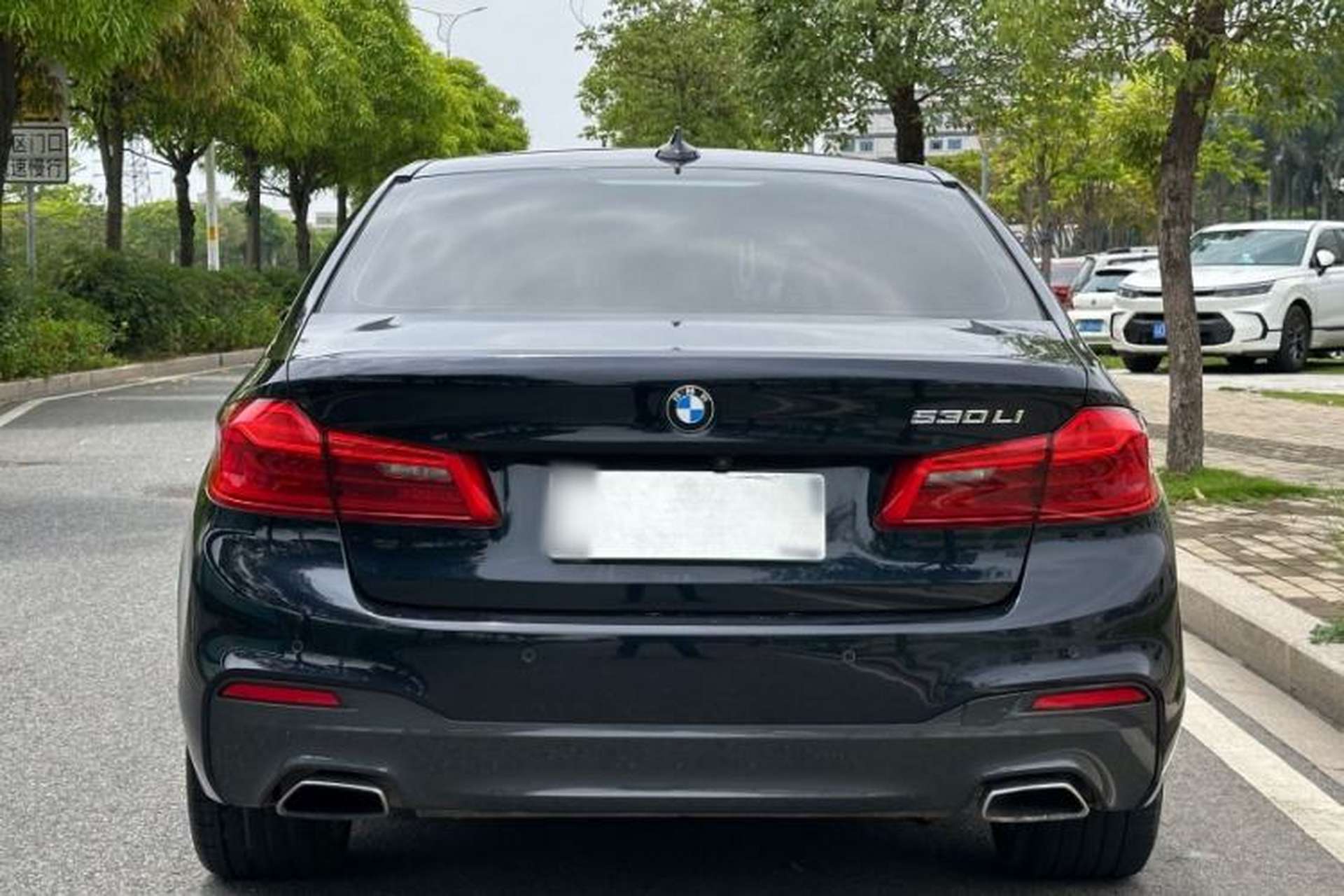 Used BMW 5 Series 2018 530Li Leading Model M Sport Package Exterior 5