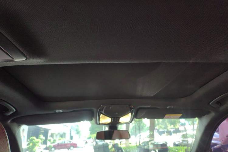 Used BMW 5 Series 2018 530Li Leading Model M Sport Package Headliner