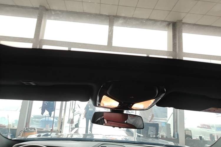 Used BMW 5 Series 2018 530Li Leading Model M Sport Package Headliner