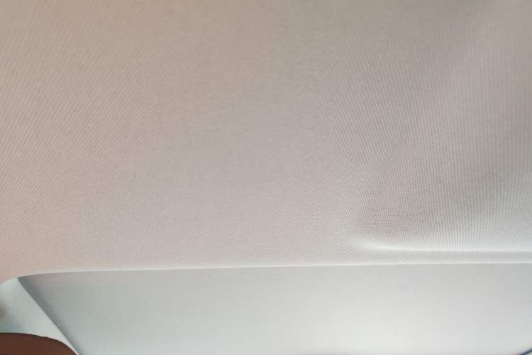 Used BMW 5 Series 2018 528Li Launch Special Edition Headliner