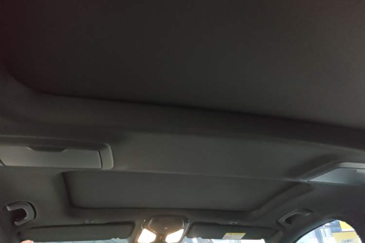 Used BMW 5 Series 2018 530Li xDrive M Sport Package Headliner