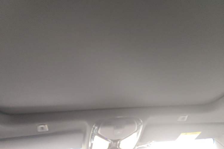 Used BMW 5 Series 2018 525Li M Sport Package Headliner