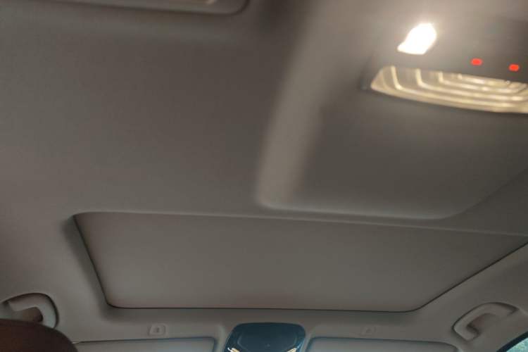 Used BMW 5 Series 2018 528Li Launch Special Edition Headliner
