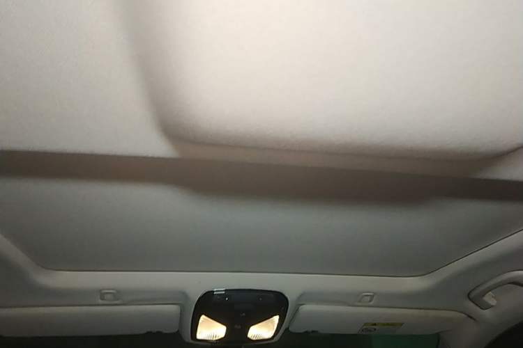Used BMW 5 Series 2018 525Li Luxury Package Headliner