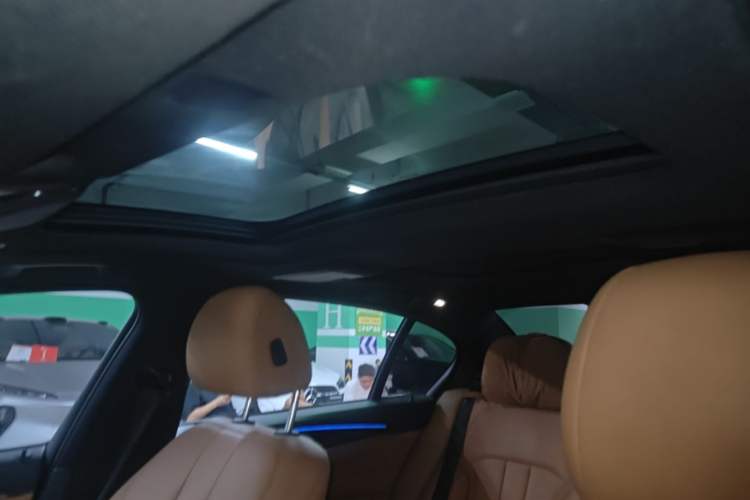 Used BMW 5 Series 2018 530Li xDrive M Sport Package Headliner