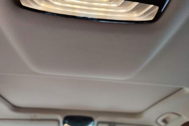 Used BMW 5 Series 2018 528Li Launch Special Edition Headliner