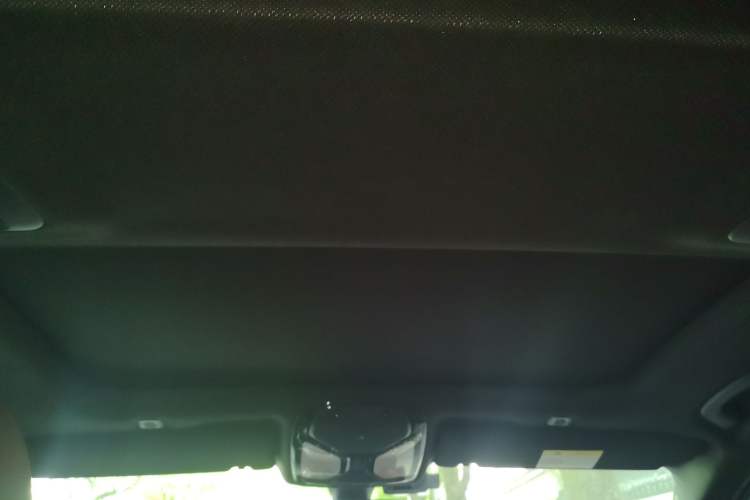 Used BMW 5 Series 2018 530Li Leading Model M Sport Package Headliner