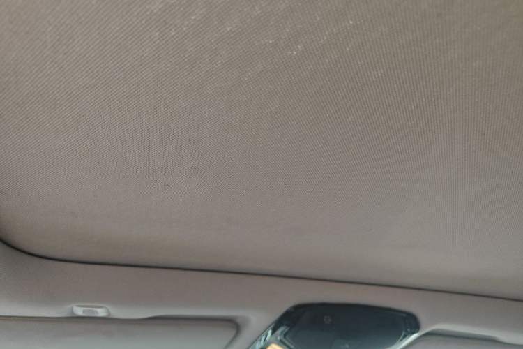 Used BMW 5 Series 2018 530Li xDrive Luxury Package Headliner