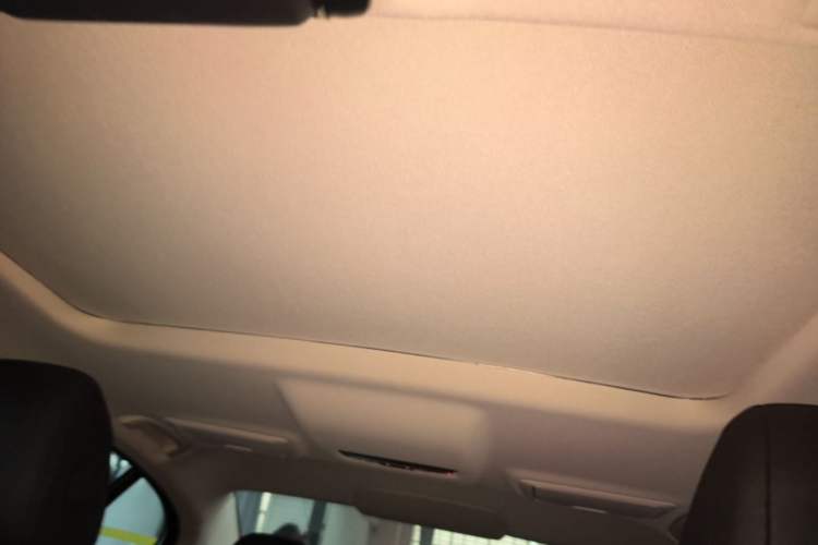 Used BMW 5 Series 2018 525Li Luxury Package Headliner