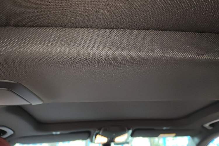 Used BMW 5 Series 2018 530Li Leading Model M Sport Package Headliner