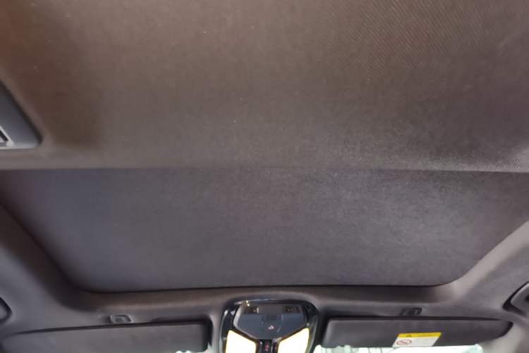 Used BMW 5 Series 2018 530Li Leading Model M Sport Package Headliner