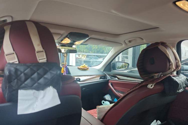 Used BMW 5 Series 2018 528Li Launch Special Edition Headliner
