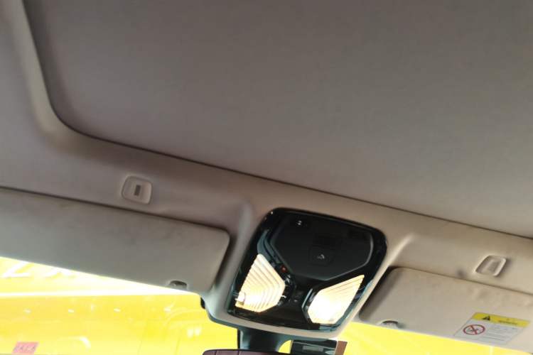 Used BMW 5 Series 2018 528Li Launch Special Edition Headliner