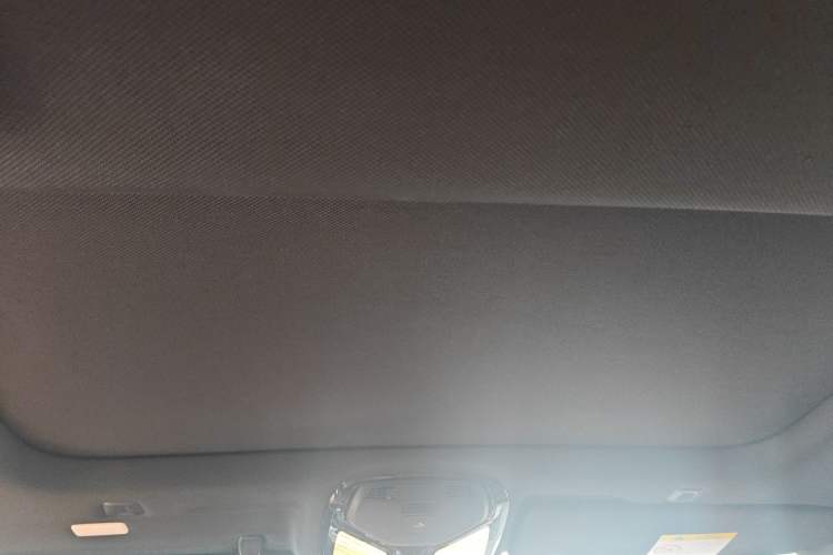 Used BMW 5 Series 2018 530Li Luxury Edition M Sport Package Headliner