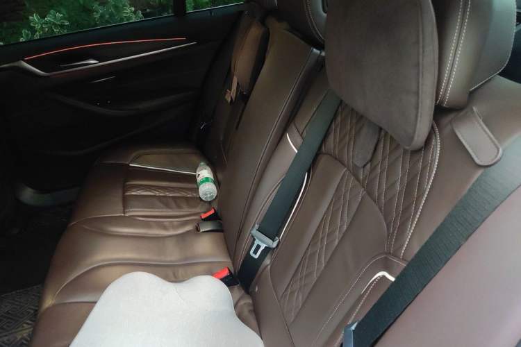 Used BMW 5 Series 2018 530Li Leading Edition Luxury Package Left Rear Seat