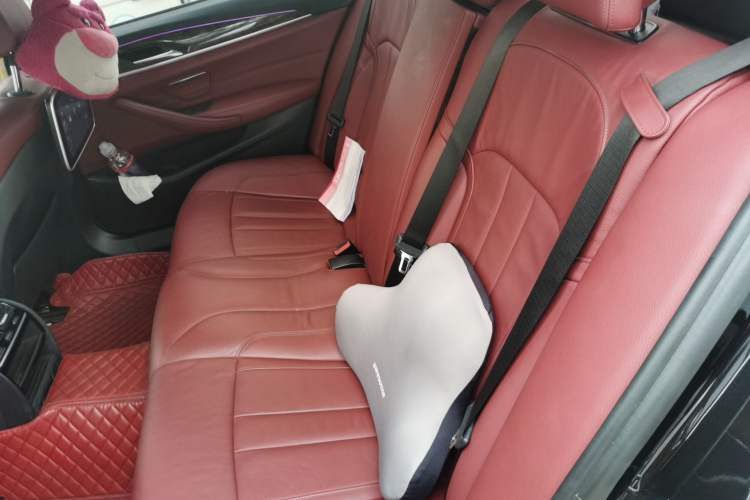 Used BMW 5 Series 2018 530Li xDrive M Sport Package Left Rear Seat