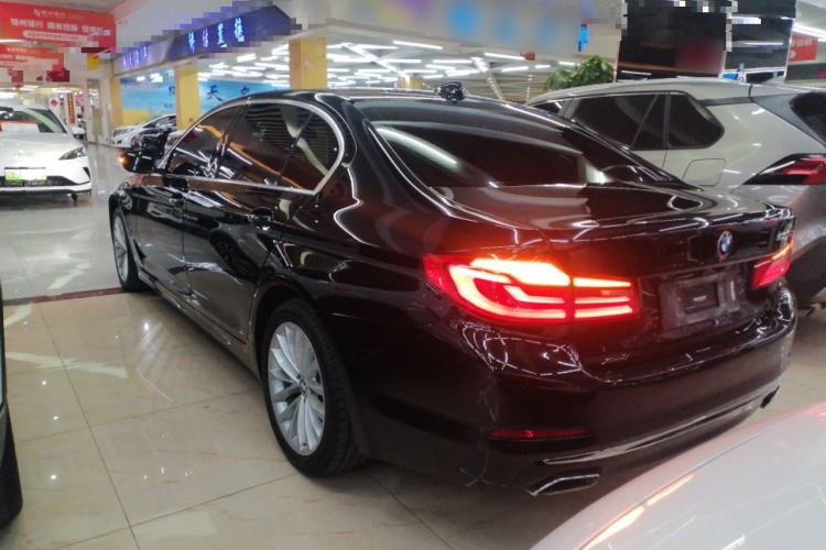 Used BMW 5 Series 2018 530Li xDrive Luxury Package Left Side