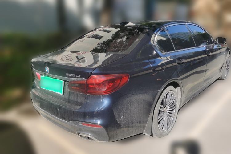 Used BMW 5 Series 2018 530Li Luxury Edition M Sport Package Rear Right 45 Deg
