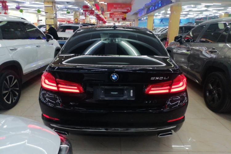 Used BMW 5 Series 2018 530Li xDrive Luxury Package Rear