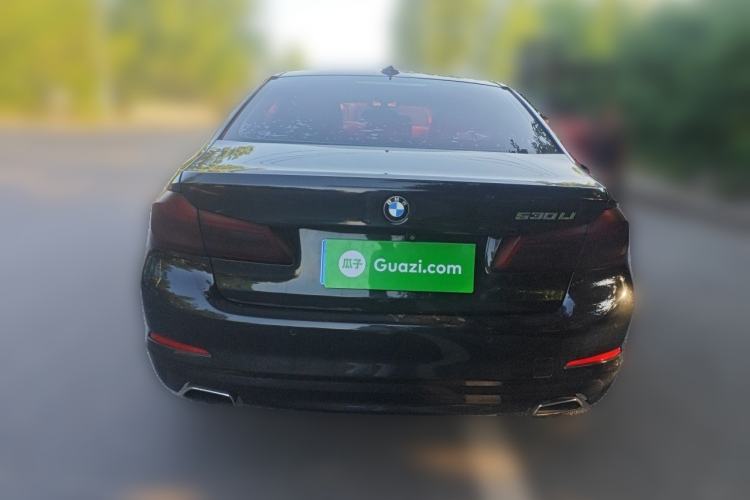 Used BMW 5 Series 2018 528Li Launch Special Edition Rear