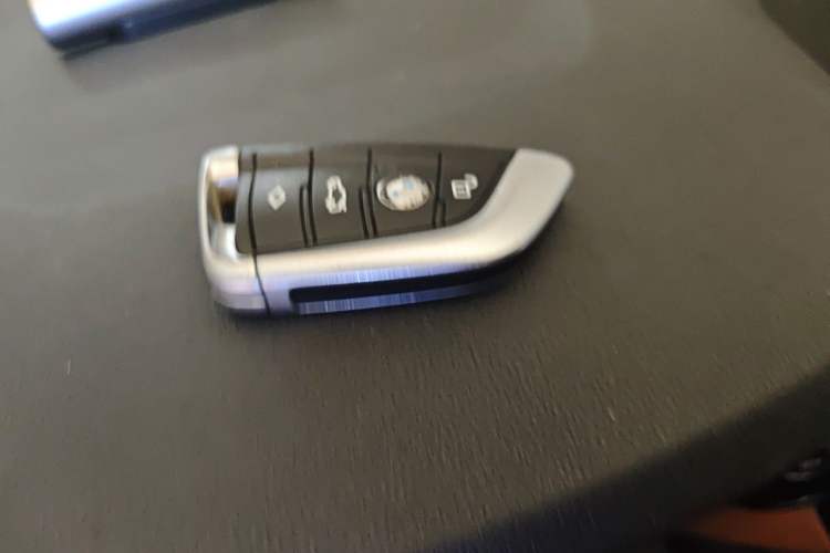 Used BMW 5 Series 2018 528Li Launch Special Edition Vehicle Key