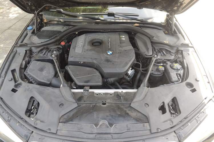 Used BMW 5 Series 2018 530Li xDrive M Sport Package Engine Bay