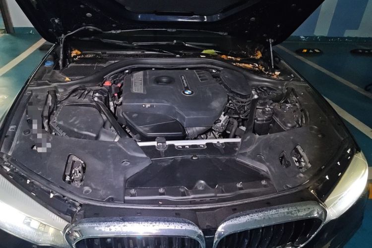 Used BMW 5 Series 2018 530Li Leading Model M Sport Package Engine Bay