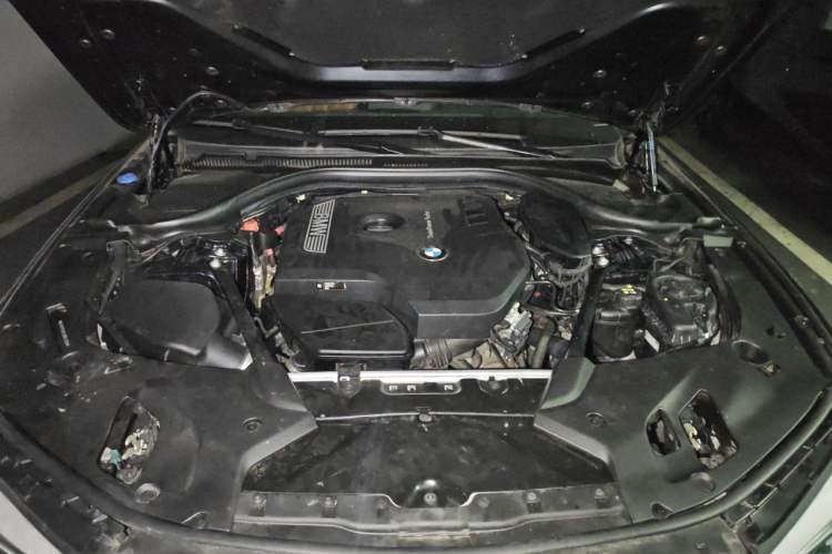 Used BMW 5 Series 2018 Restyled 530Li Luxury Edition M Sport Package Engine Bay