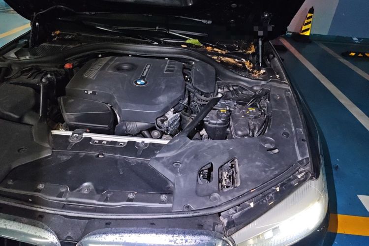 Used BMW 5 Series 2018 530Li Leading Model M Sport Package Engine Bay Left