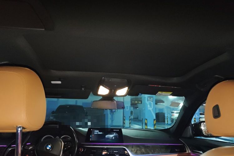 Used BMW 5 Series 2018 530Li Leading Model M Sport Package Headliner