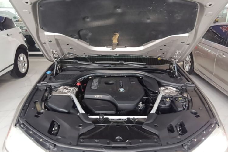 Used BMW 5 Series 2018 Revised Version 530Li Leading Edition Luxury Package Engine Bay
