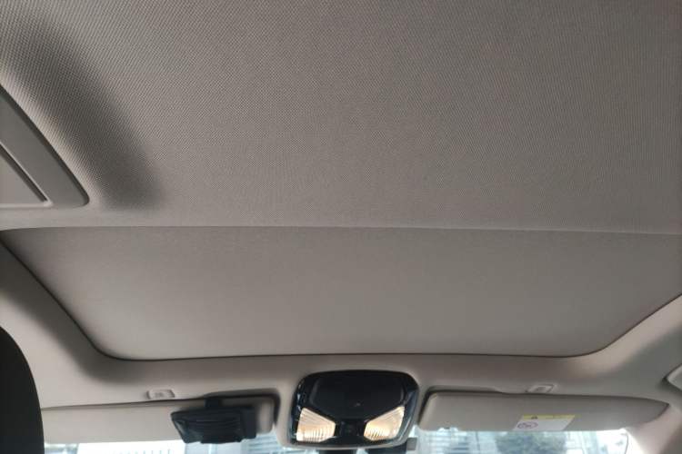 Used BMW 5 Series 2018 Facelifted 530Li xDrive Luxury Package Headliner