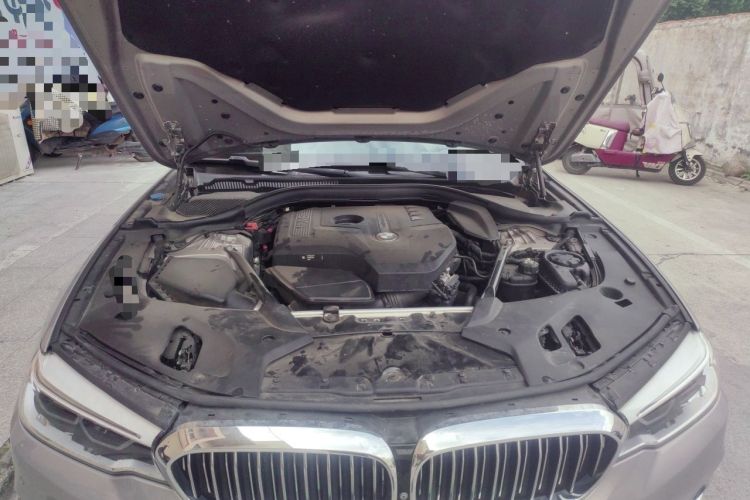 Used BMW 5 Series 2018 Facelifted 530Li Luxury Edition Premium Package Engine Bay