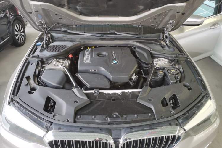 Used BMW 5 Series 2018 530Li xDrive Luxury Package Engine Bay