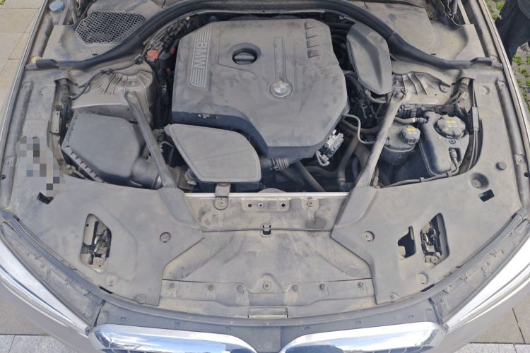 Used BMW 5 Series 2018 530Li Luxury Edition Premium Package Engine Bay