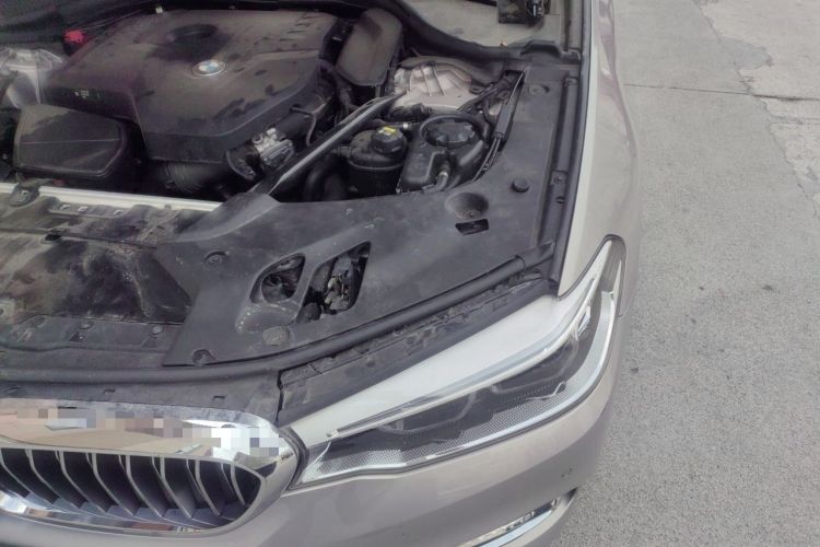 Used BMW 5 Series 2018 Facelifted 530Li Luxury Edition Premium Package Engine Bay Left