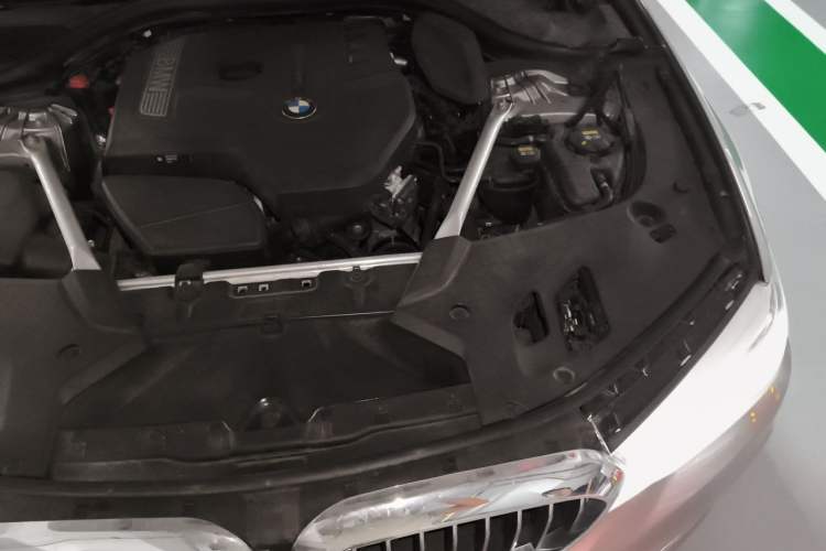 Used BMW 5 Series 2018 530Li Luxury Edition Premium Package Engine Bay Left