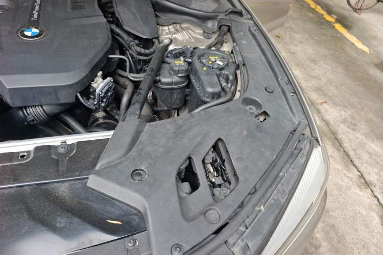 Used BMW 5 Series 2018 530Li Leading Edition Luxury Package Engine Bay Left