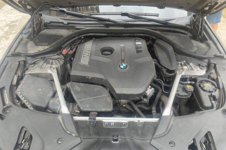 Used BMW 5 Series 2018 Facelifted 530Li xDrive Luxury Package Engine Bay
