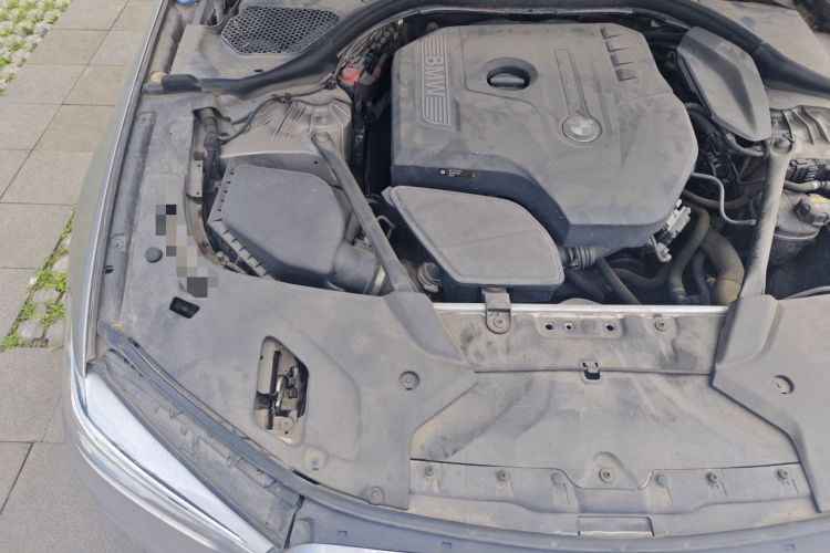 Used BMW 5 Series 2018 530Li Luxury Edition Premium Package Engine Bay Right