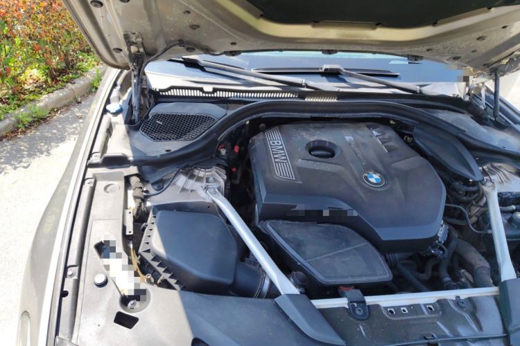 Used BMW 5 Series 2018 530Li Leading Edition Luxury Package Engine Bay Right