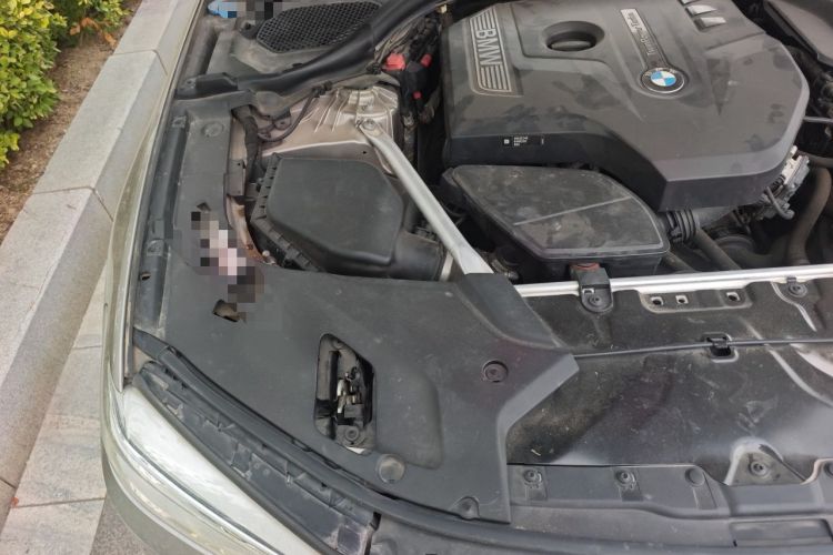 Used BMW 5 Series 2018 Facelifted 530Li Luxury Edition Premium Package Engine Bay Right