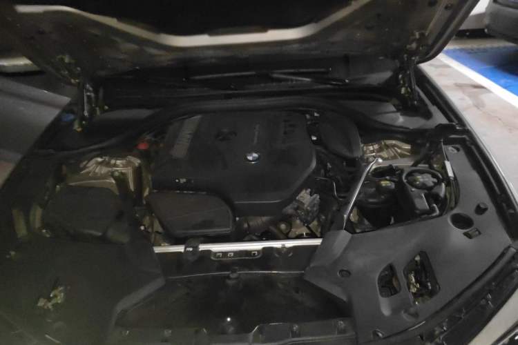 Used BMW 5 Series 2018 Facelifted 530Li Luxury Edition Premium Package Engine Bay