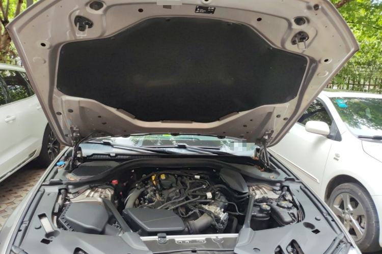 Used BMW 5 Series 2018 530Li Leading Edition Luxury Package Engine Bay