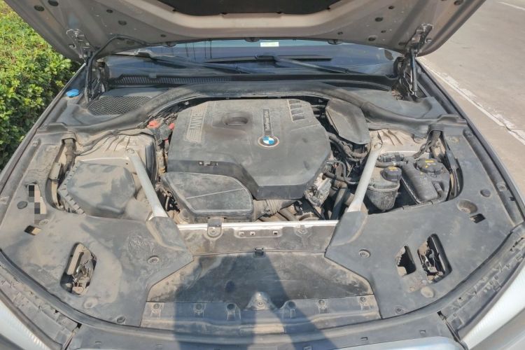 Used BMW 5 Series 2018 Revised Version 530Li Leading Edition Luxury Package Engine Bay