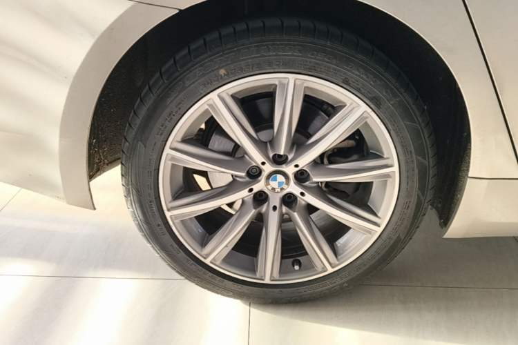 Used BMW 5 Series 2018 528Li Launch Special Edition Exterior 5