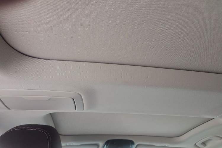 Used BMW 5 Series 2018 Facelifted 530Li Luxury Edition Premium Package Headliner