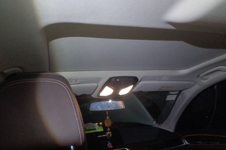 Used BMW 5 Series 2018 525Li Luxury Package Headliner