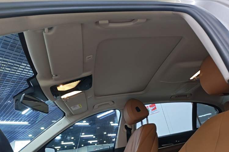 Used BMW 5 Series 2018 528Li Launch Special Edition Headliner