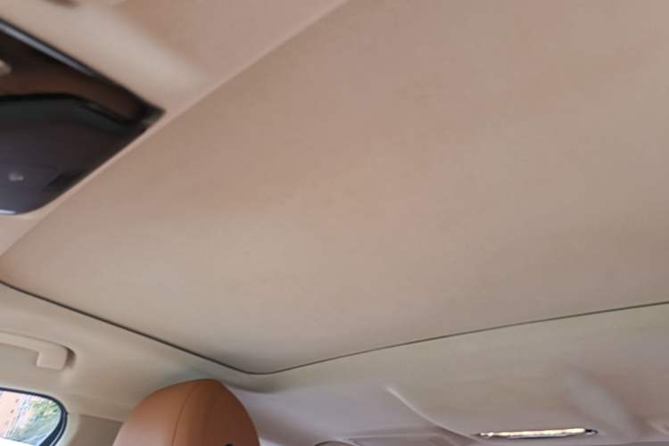Used BMW 5 Series 2018 528Li Launch Special Edition Headliner